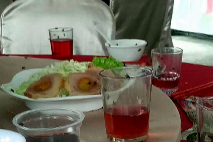 不舒服！民眾吃喜酒遇上蒼蠅大軍