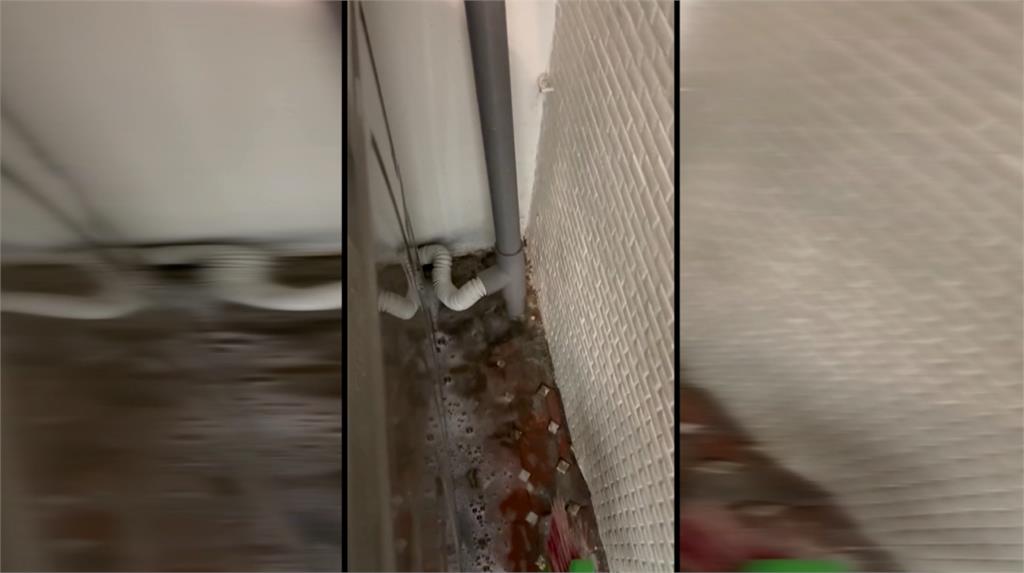 頂樓種植栽不修剪　根莖亂竄害整棟樓漏水