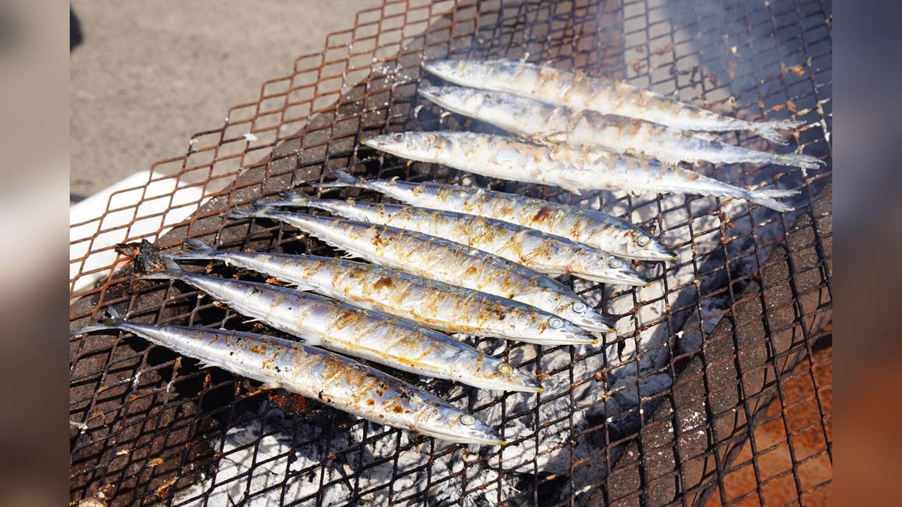 日本迎「食慾之秋」！　北海道秋刀魚祭典吸引人潮