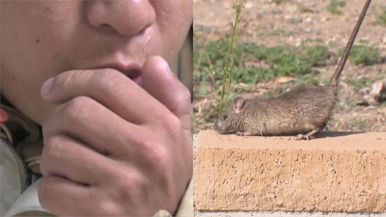 漢他病毒「一開始像感冒」數小時內恐休克!醫1圖曝危險徵兆:後段才出事