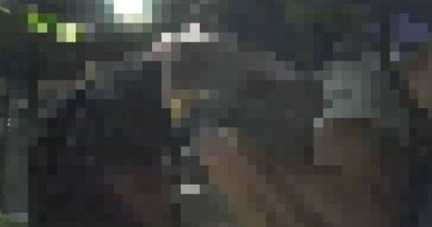 邀女學員遭拒!健身教練信義街頭化身浩克痛打同行友人 警押地制伏