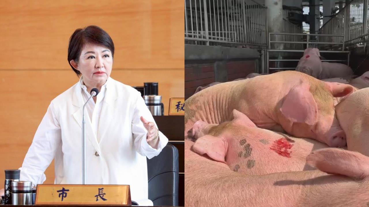 豬瘟解禁盧秀燕「委屈邀功」?翁達瑞揪她「1說法」批:邏輯矛盾