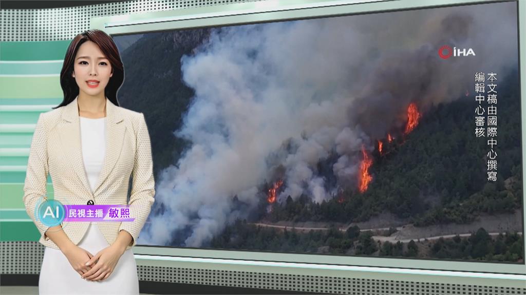 敏熙報氣象／土耳其北部爆發野火 數百名消防員急投入滅火