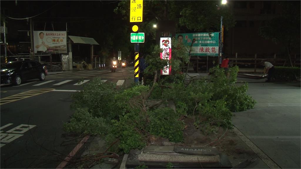 行車糾紛遭包夾 百萬車暴衝逃竟撞樹