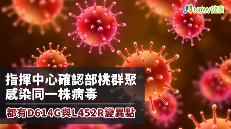 陳時中：部桃群聚來自同病毒 有D614G與L452R變異
