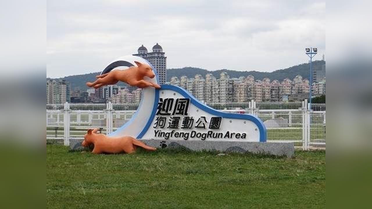 快新聞/捐錢就能認養狗公園!北市動保處開綠燈 公益+曝光一次到位