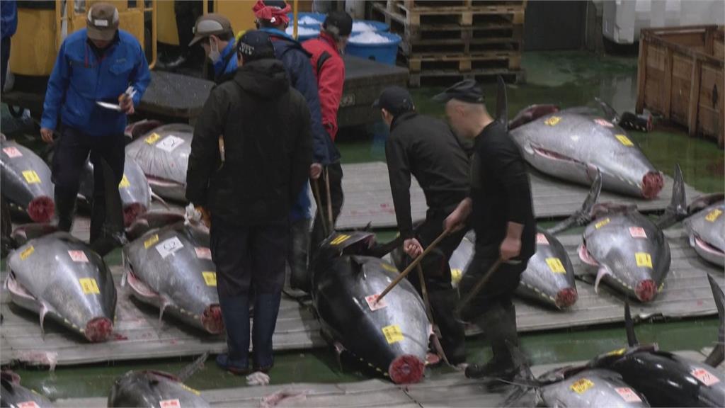 東京豐洲市場黑鮪魚新春首拍　2億7百萬天價史上第2高