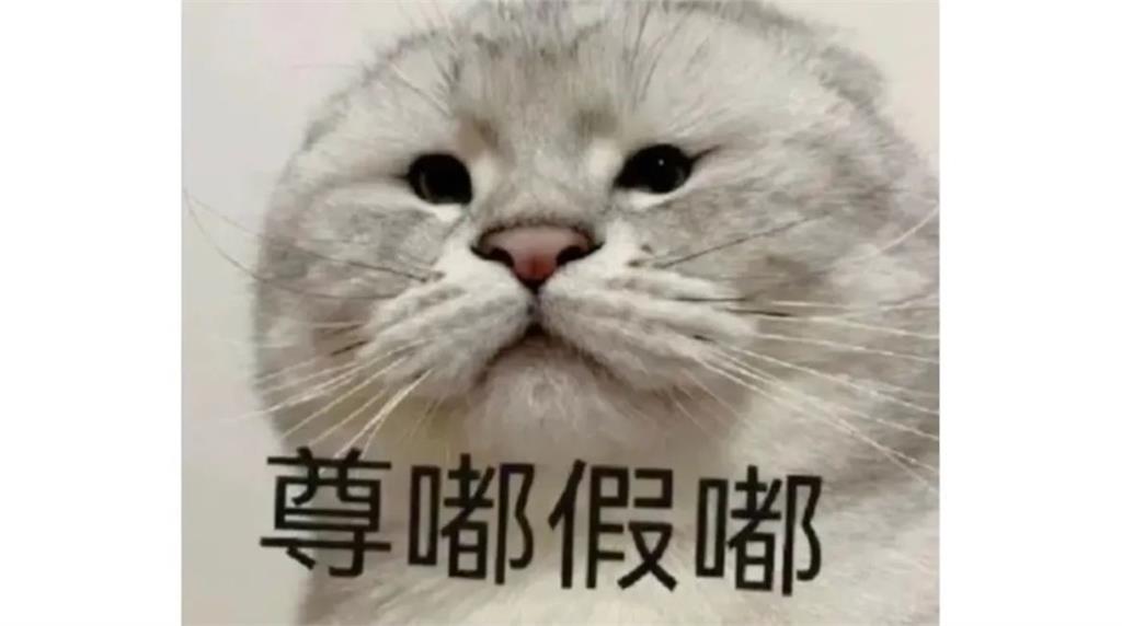 2024神回顧/破防、活網、已購買小孩愛吃!年度爆紅流行語TOP 10 冠軍曾登牛津詞典