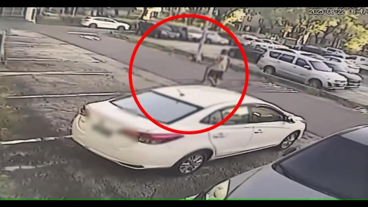 左營槍擊命案槍手楊云豪逃逸出境 檢方發布殺人通緝