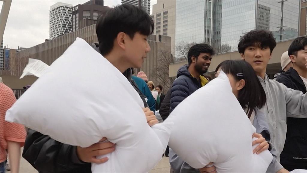 加拿大「枕頭大戰」開打！　上百人邊紓壓、邊交朋友