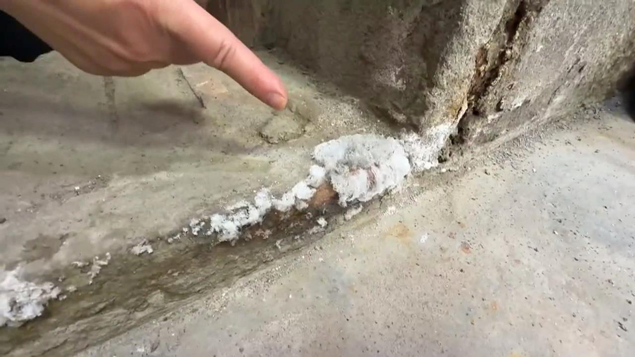 冷到冒白團？　彰化鹿港百年古厝現「凍霜」疑雲