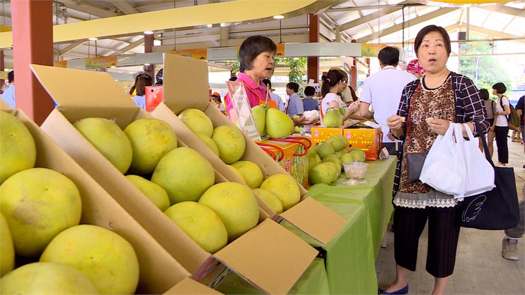 823水災影響 今年文旦盛產價錢仍漲3至4成