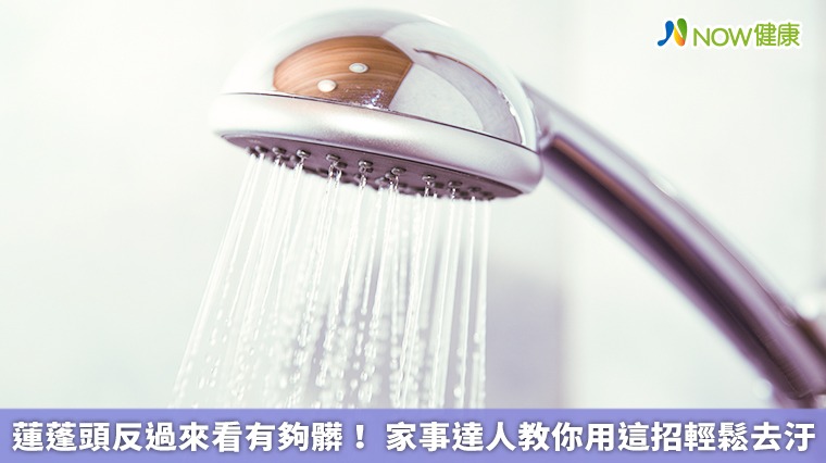 蓮蓬頭反過來看有夠髒！家事達人教你用這招輕鬆去汙