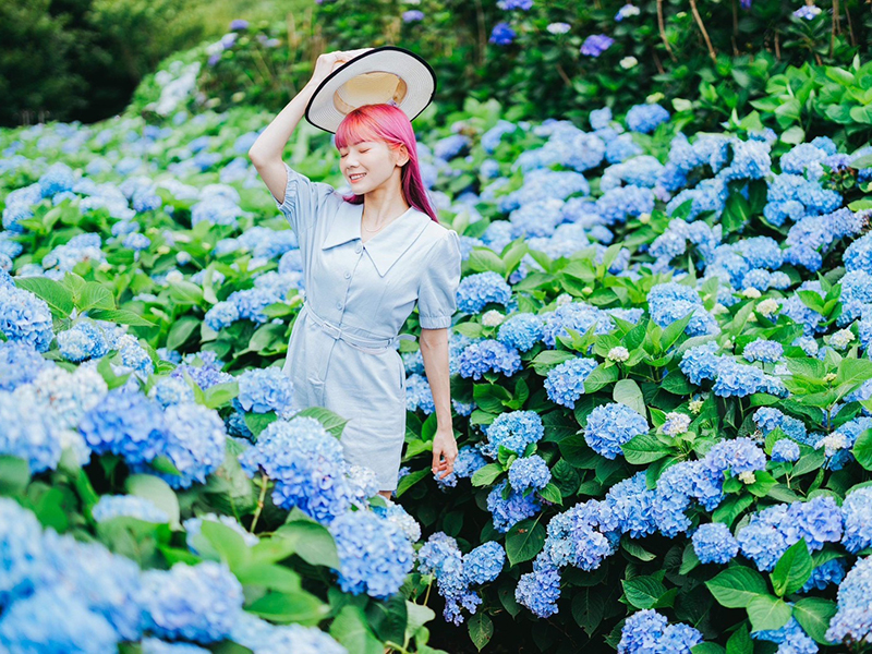 全台必訪10處賞花秘境│浪漫繡球花金針花海共譜熱情仲夏！