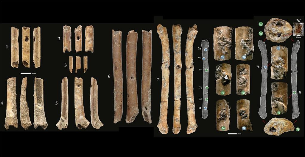 以色列出土舊石器時代晚期骨笛　歷史破萬年