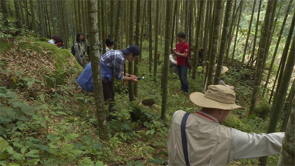 溪頭健行！日籍教授導覽森林療癒、洗滌身心