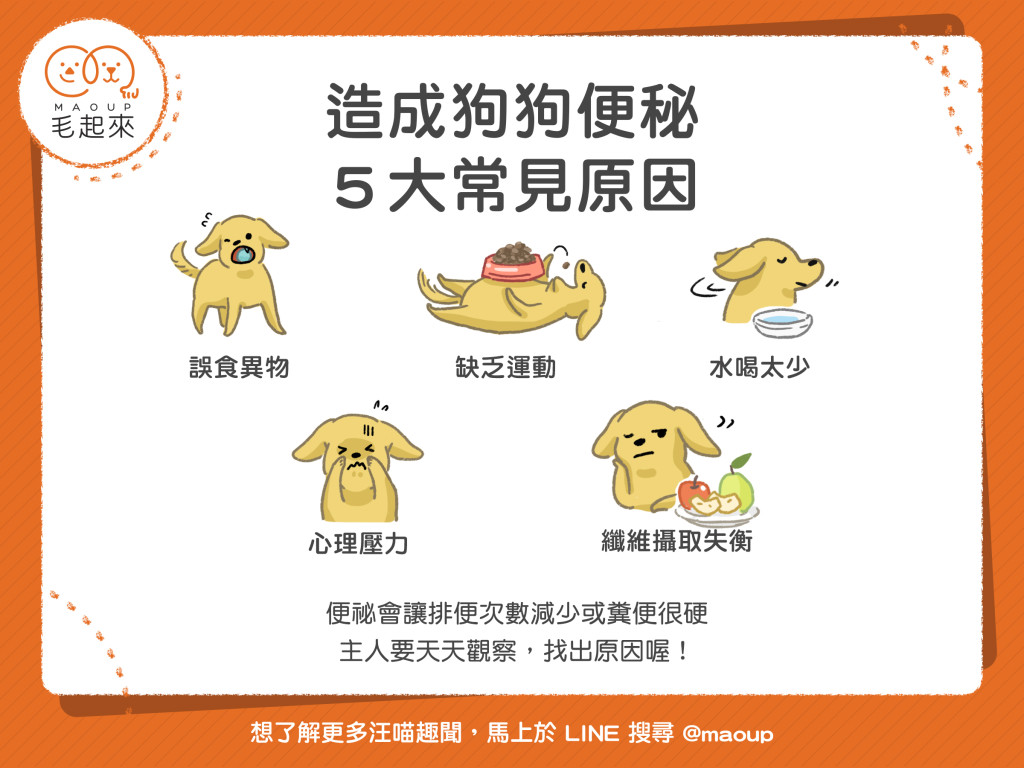【毛疾病飲食】造成狗狗便秘～五大常見原因！