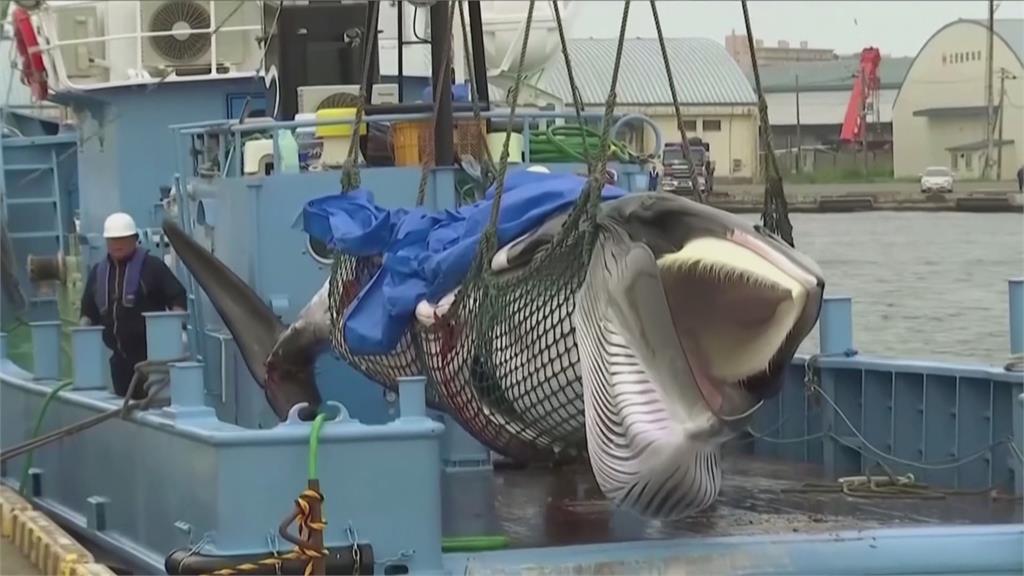 環保人士登上捕鯨船阻礙作業 日方要求引渡受審