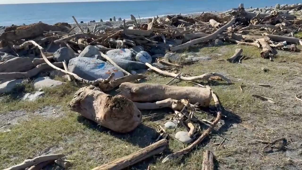 台東新打卡點！　「漂流木堆成藝術品」縣府將清除遊客不捨