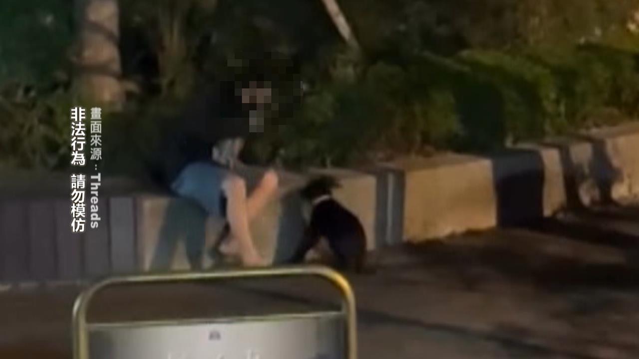 殘忍！　台中男子「持棍猛敲狗頭」　目擊者制止仍繼續施暴