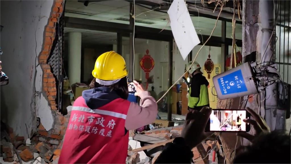 三重六張街民宅倒塌 5貓咪受困成功救出3隻