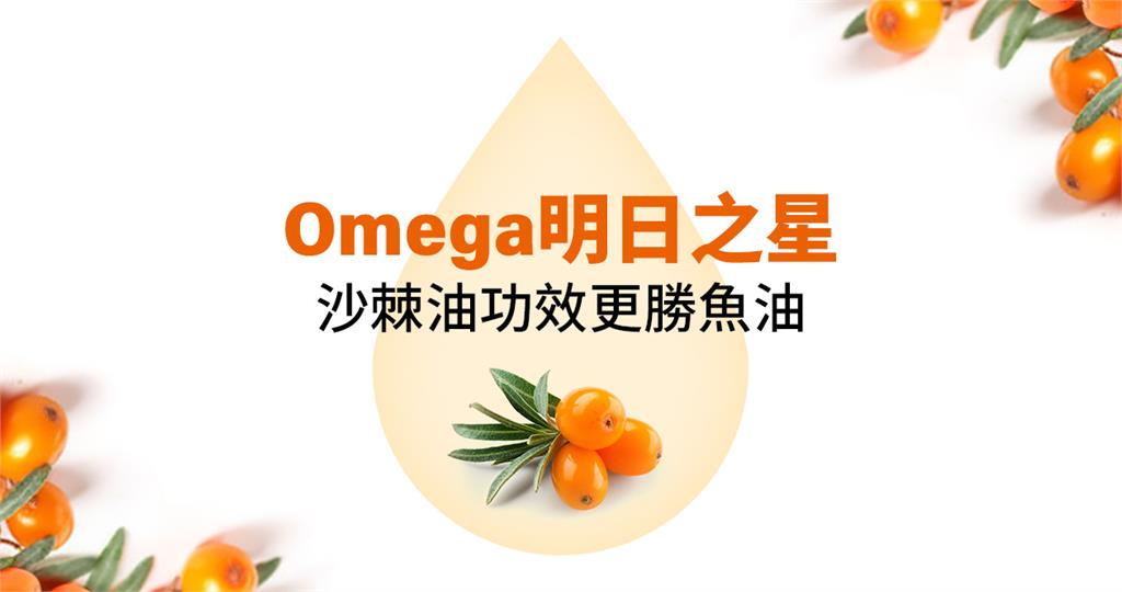 【Omega明日之星】沙棘油功效更勝魚油?