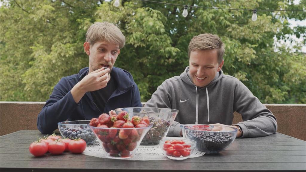 比台灣便宜？波蘭男開箱歐洲市場水果　滿桌新鮮莓果只要300元