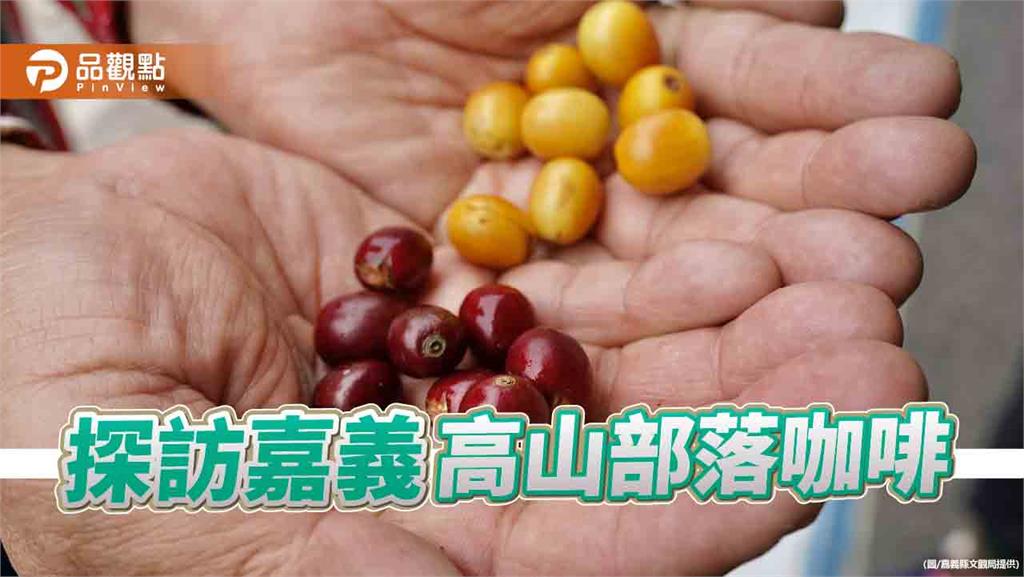 2025春節漫遊嘉義　探訪高山部落咖啡的迷人風味