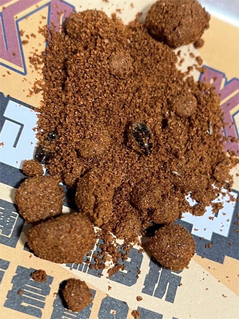 內用辣椒粉有蟑螂　頂呱呱致歉：將全面改換調味包