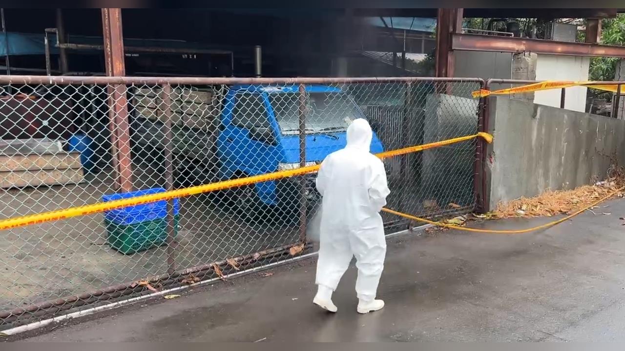 防堵非洲豬瘟！　台中案場＂仍檢出陽性＂　農業部再點名中市府未落實清消