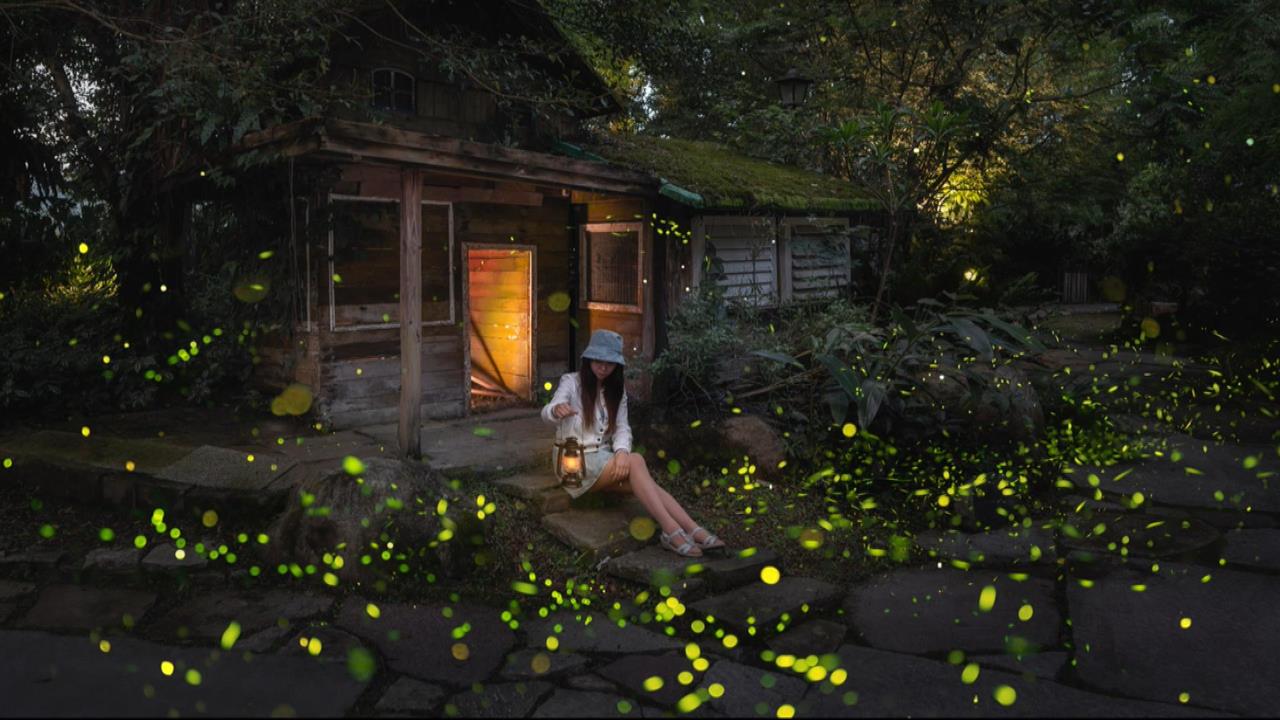 專家帶路追螢火! //「蘭陽星空賞螢季」4/1登場