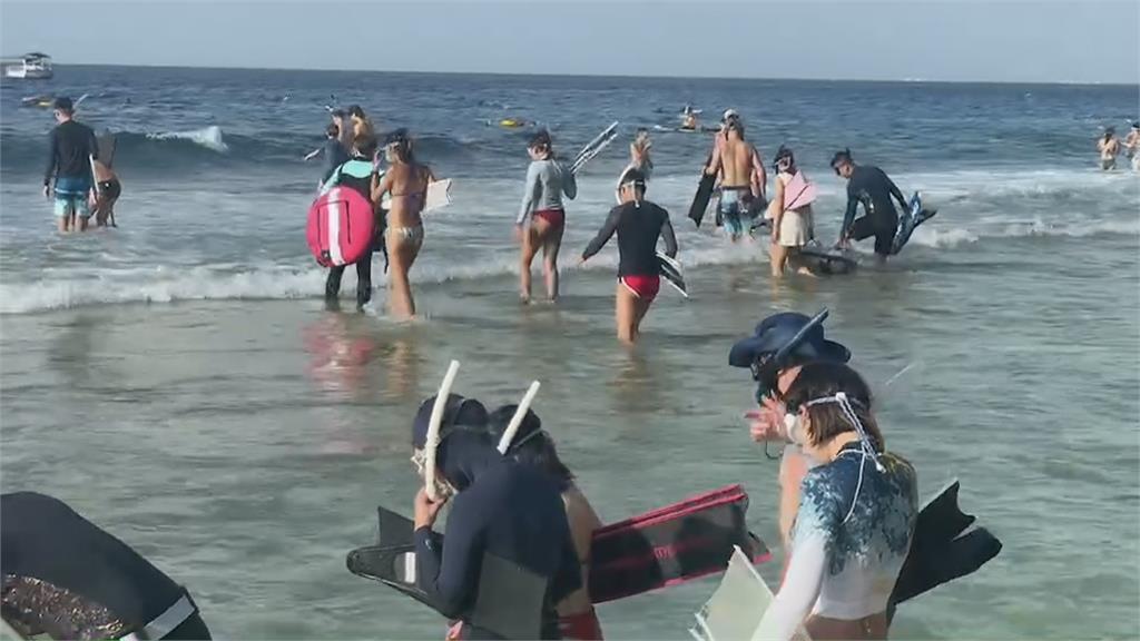 浮潛夯！小琉球業者聯合調漲　公平會開罰21家235萬