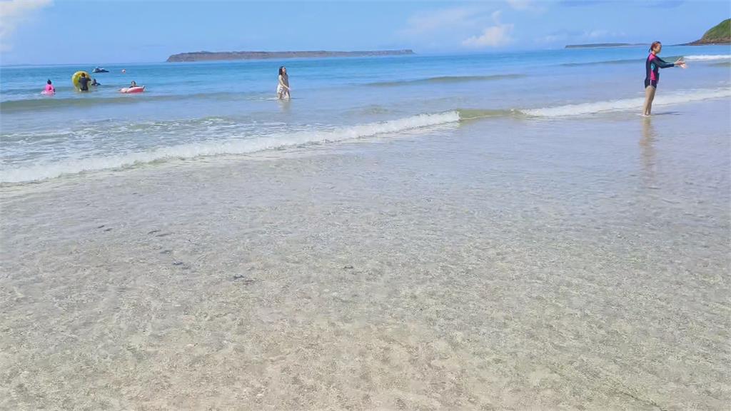 獨家！有毒「錢幣水母」現蹤澎湖　​民眾在沙灘玩驚傳被螫傷