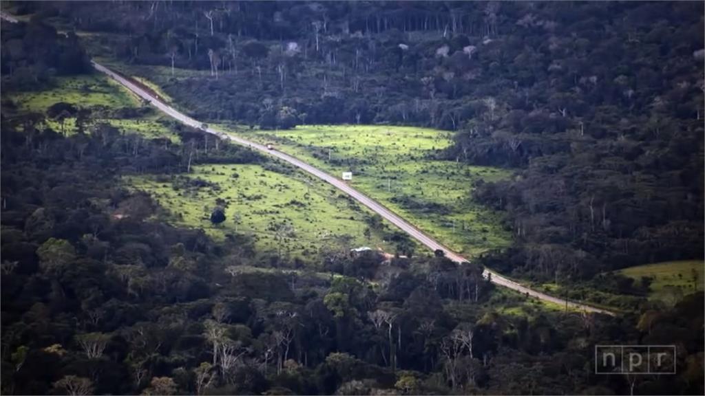 全球／非法淘金猖獗 「地球之肺」　亞馬遜雨林消失中
