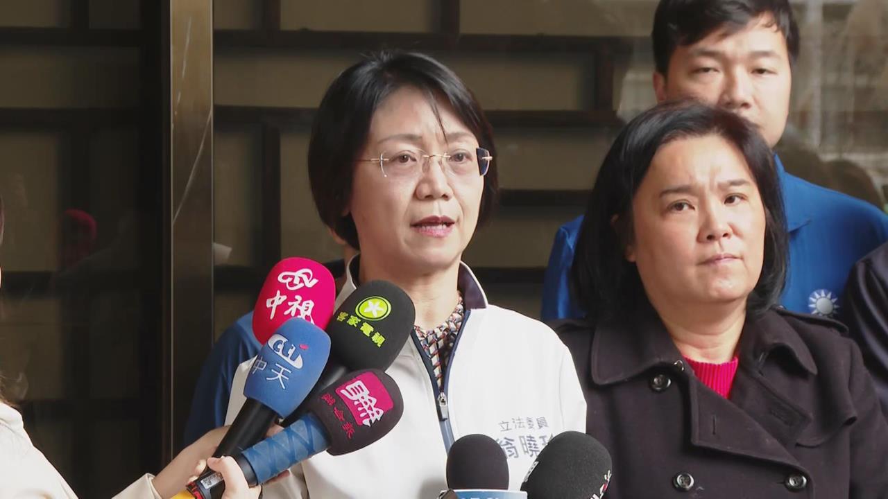 翁曉玲、陳玉珍護航徐榛蔚　赴北檢告3部長喊：政治打壓