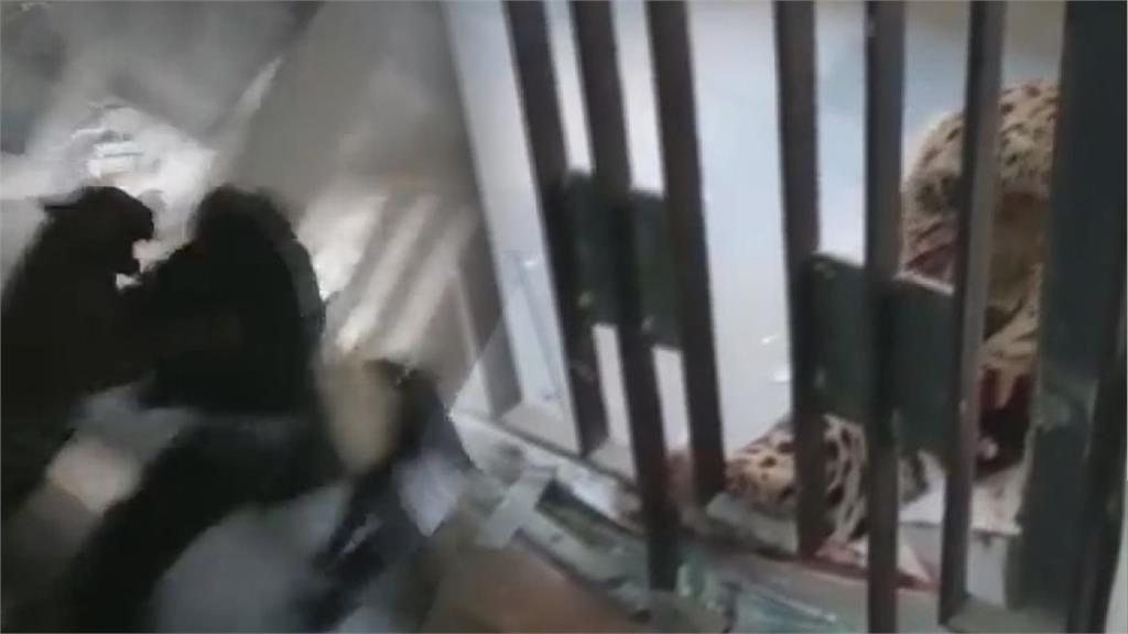 20秒驚悚逃命片流出！花豹闖法院狠咬6人　律師脖子遭攻擊血濺現場