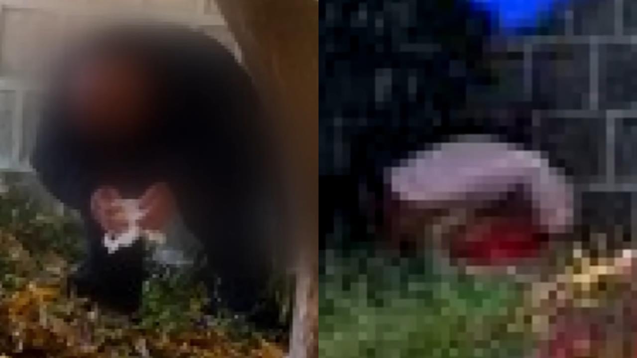 中國男女疑「對馬桶過敏」!竟在韓景福宮「脫褲解放」赫見大媽褲上一包