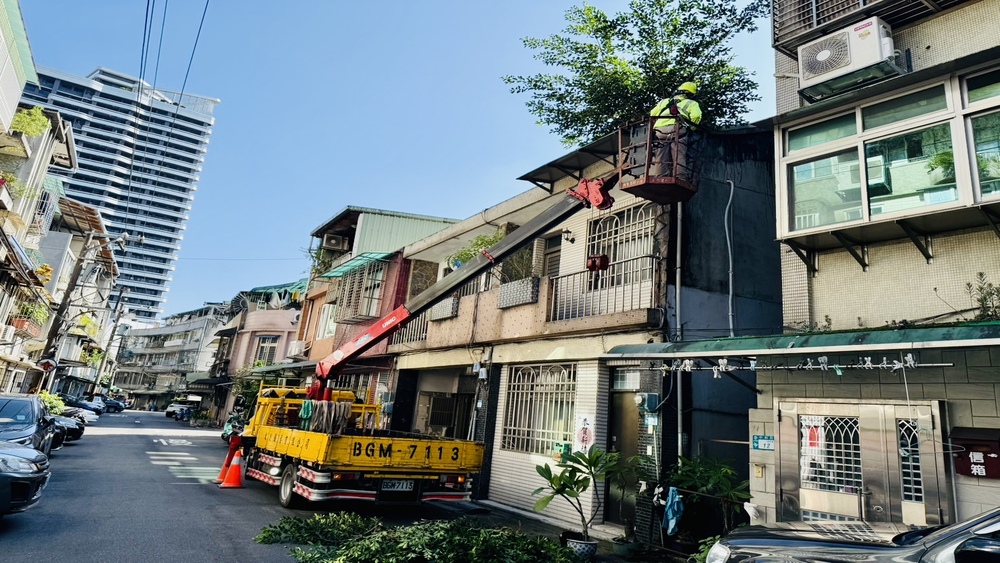 牆壁竟長出樹?藝樹人揭都市隱藏危機 專家呼籲:居家潮濕恐影響健康