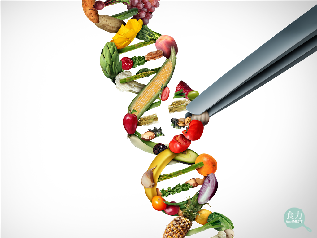 基因編輯食物即將端上桌？英國通過精準育種法案　將基因編輯商業用途合法化