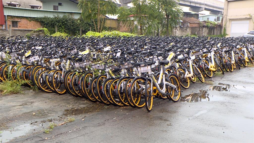 oBike亂象多！姚文智、丁守中齊轟柯文哲