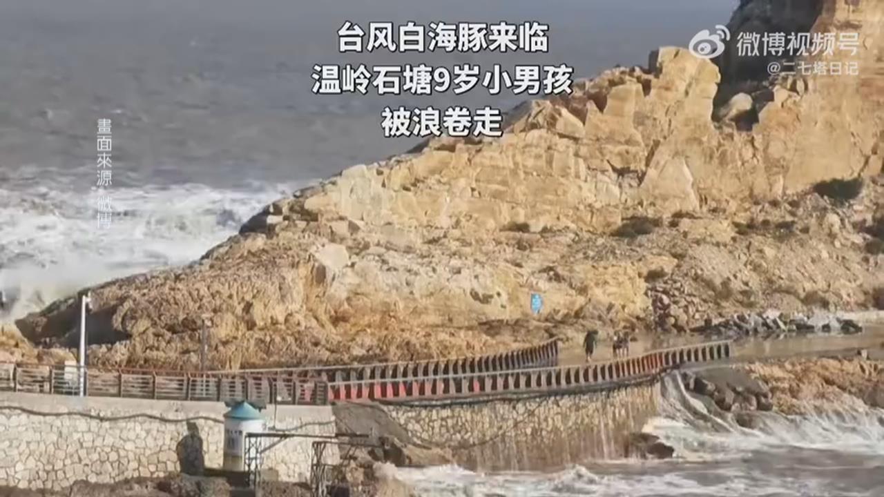 白海豚將登陸中國浙江、福建沿海　浙江四口之家觀浪９歲男童遭捲走