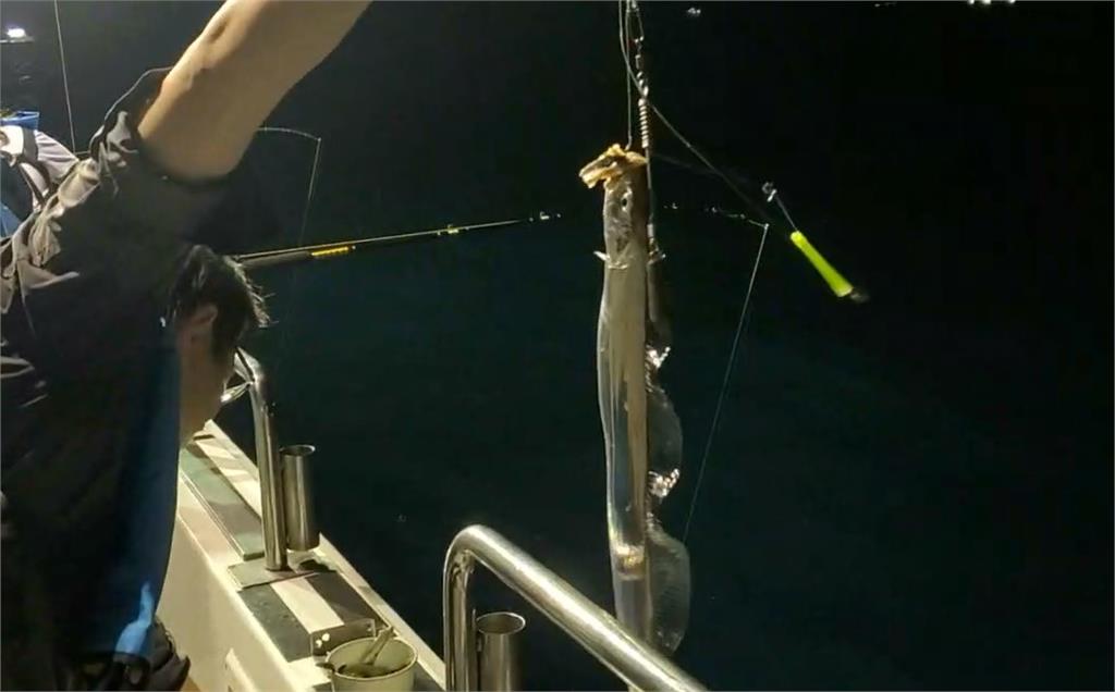 基隆鎖管季８／２４登場！推出鎖管吃到飽、夜釣活動　讓遊客從早暢玩到黑夜