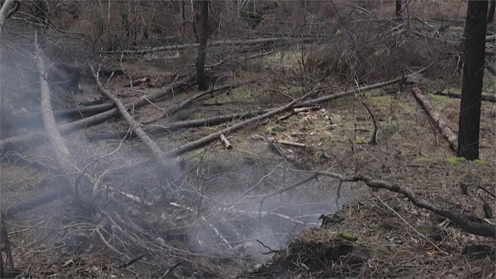 西班牙東部爆今年首場季節性野火　狂燒48小時延燒逾４千公頃林地