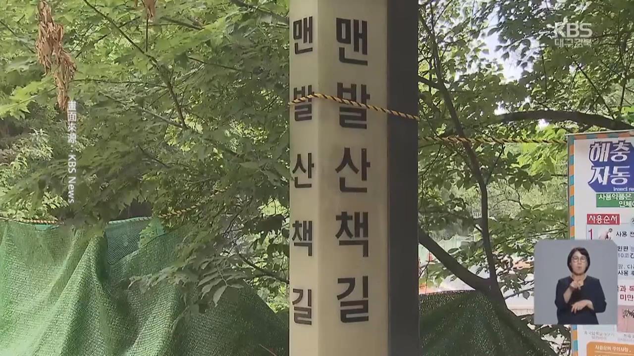 南韓獸害頻傳！ 濟州島鯊魚出沒 大邱野豬現蹤步道