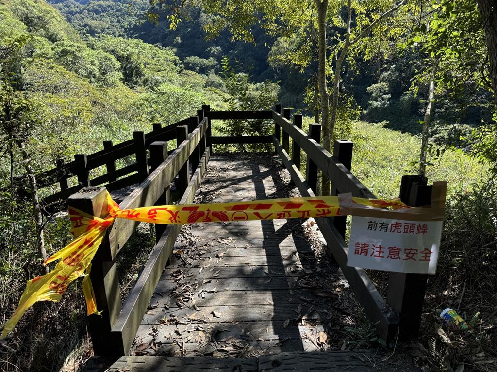 快新聞／嚇！苗栗泰安水雲瀑布虎頭蜂攻擊　4人受傷送醫