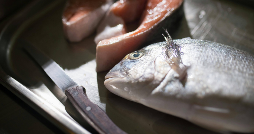 多吃魚變聰明？譚敦慈「最推薦這種魚」　少吃4種大型魚類