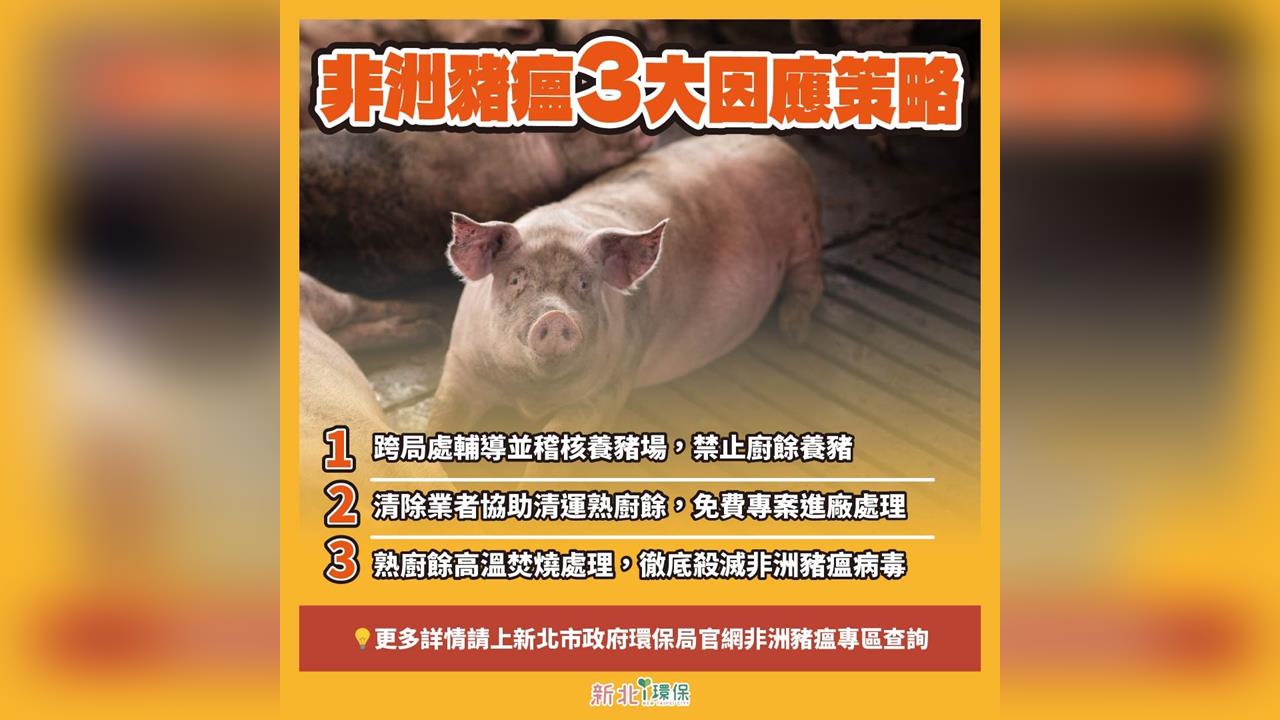 快新聞／新北市因應非洲豬瘟　禁廚餘養豬、熟廚餘「焚化處理」