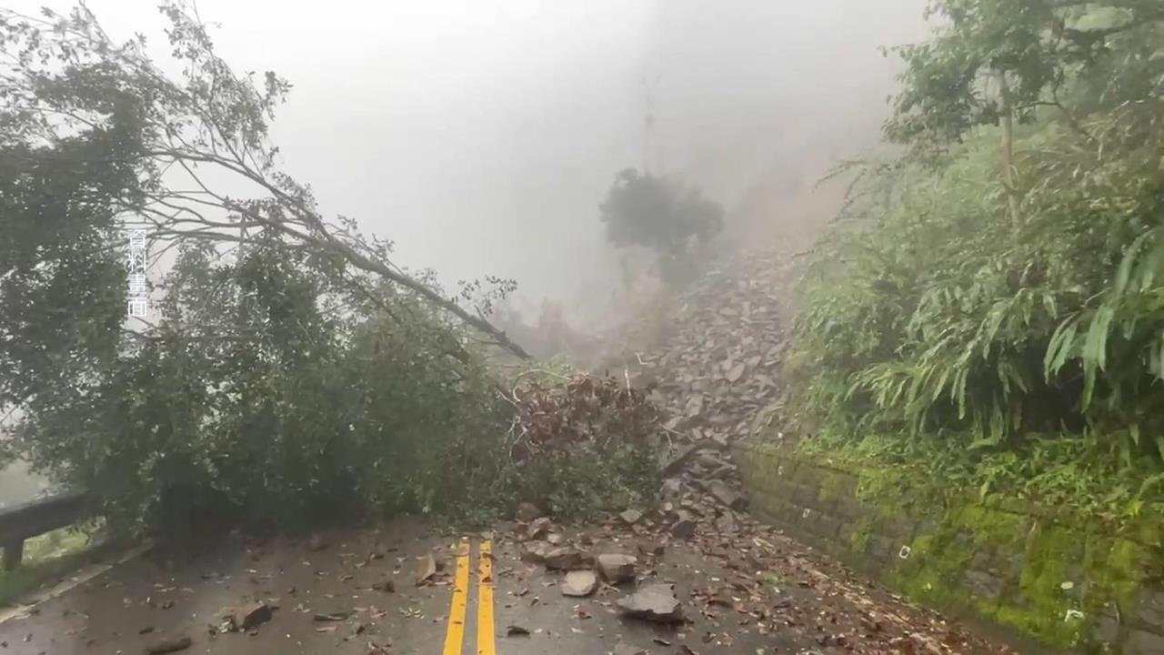 歷經邊坡坍塌!太平山雨過天晴 黃喉貂現身趴趴走