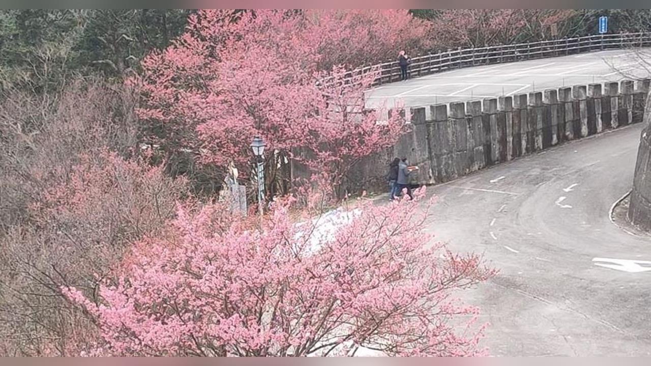 快新聞/2026馬年注意!4生肖犯太歲要躲春 3生肖有貴人相助