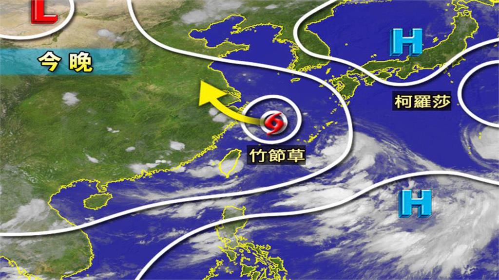 雨彈炸多地「1縣市停班停課」！竹節草「重生」路徑曝光　林嘉愷揭對台影響